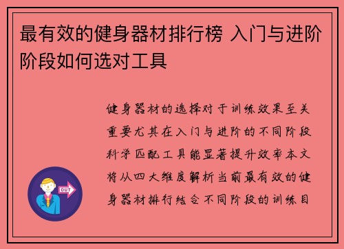 最有效的健身器材排行榜 入门与进阶阶段如何选对工具